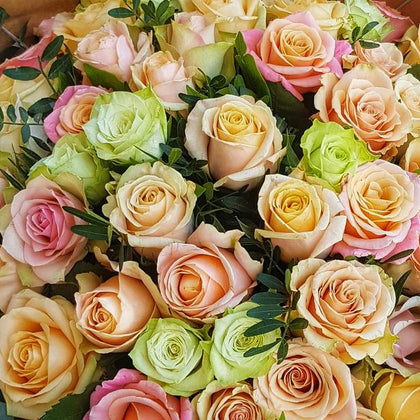 Roses