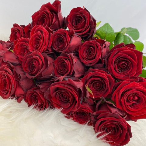 Bouquet de Roses Rouges BdeS