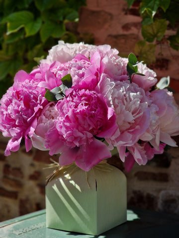 Bouquet rond Pivoine BqS