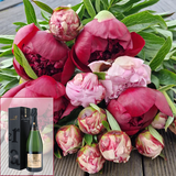 Bouquet de Pivoines FdM