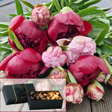 Bouquet de Pivoines FdM